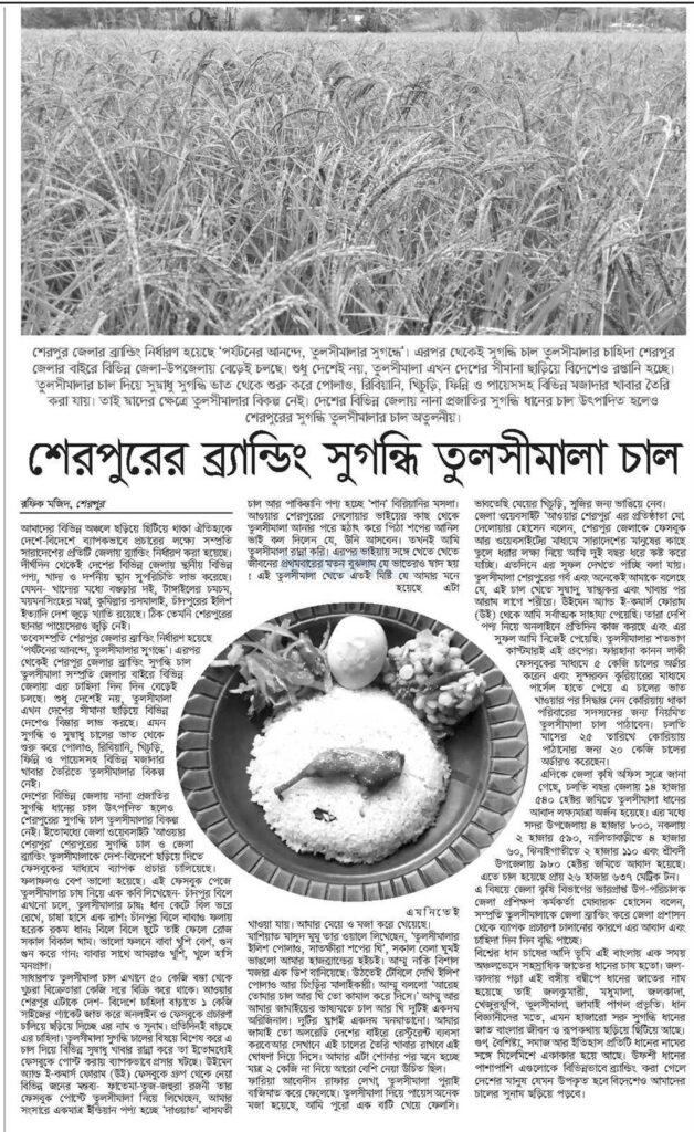 তুলশীমালা চাল কোথায় পাওয়া যায় 4 শেরপুরের ব্র্যান্ডিং সুগন্ধি তুলসীমালা চাল